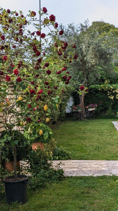 Bed & Breakfast Agli Aceri Verona Exterior foto
